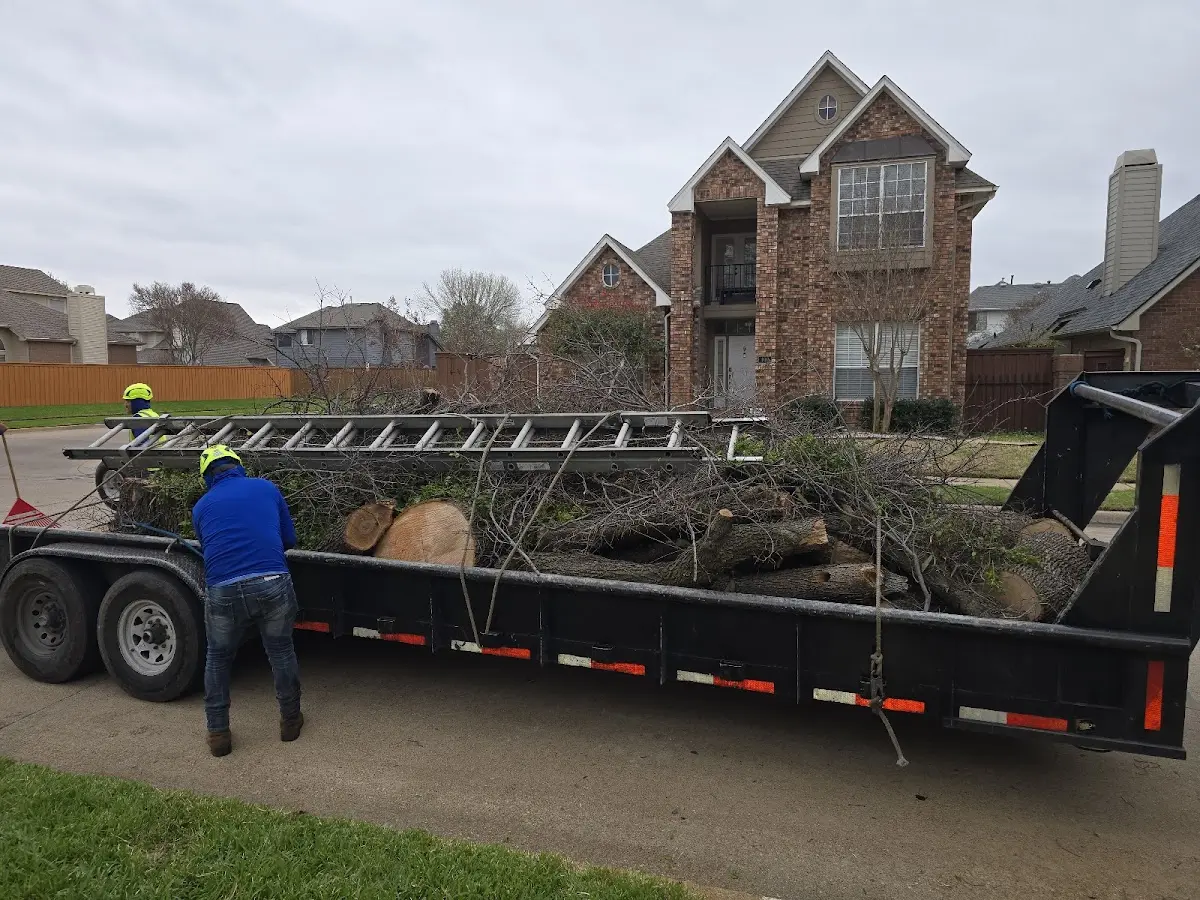 Expert Tree Fertilization with proper safety equipment in Withee